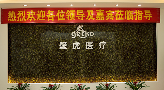 壁虎医疗 壁虎医疗